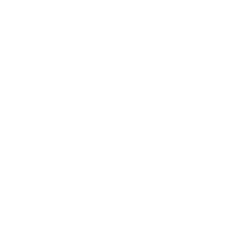 International Computer Science Competition (ICSC)